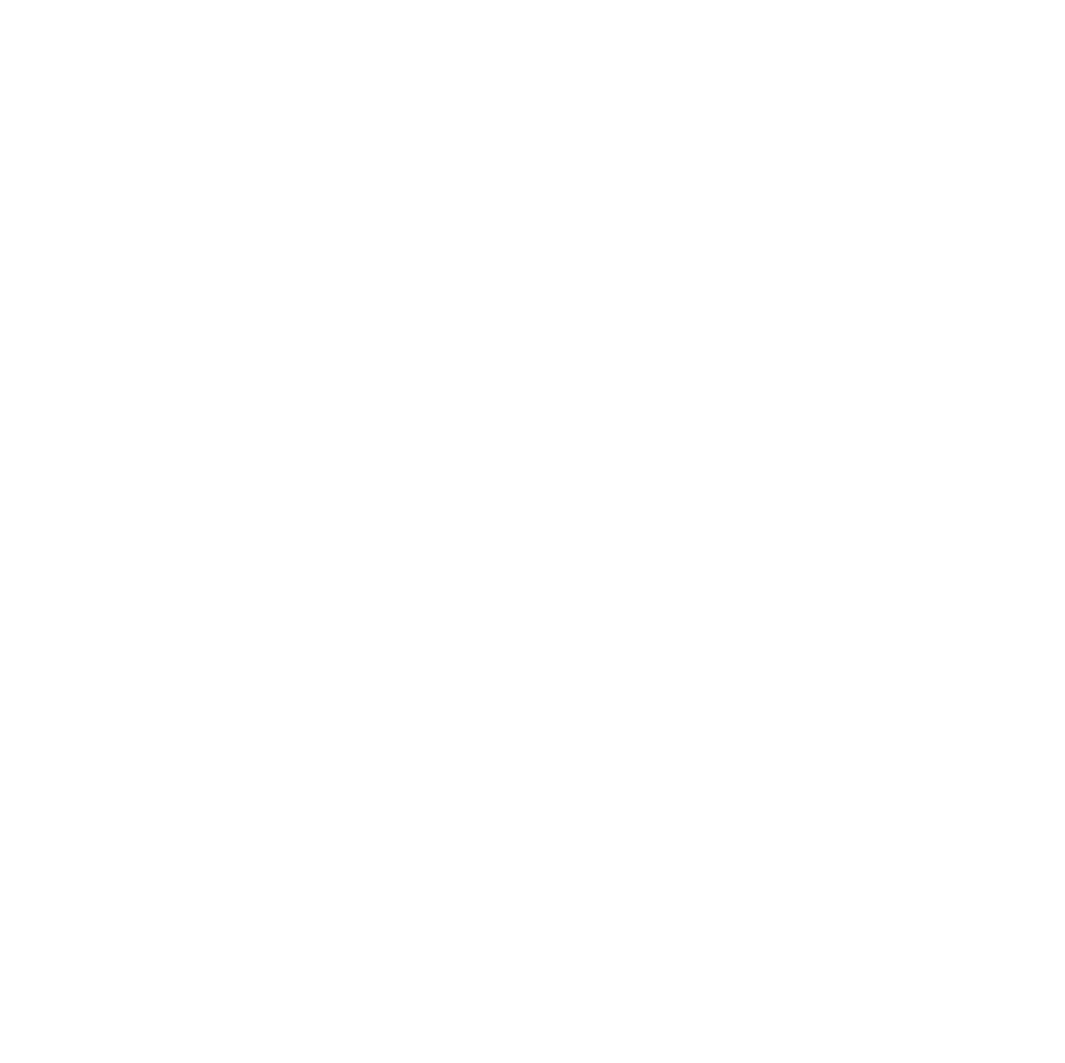 National Iwi Chairs Logo - White